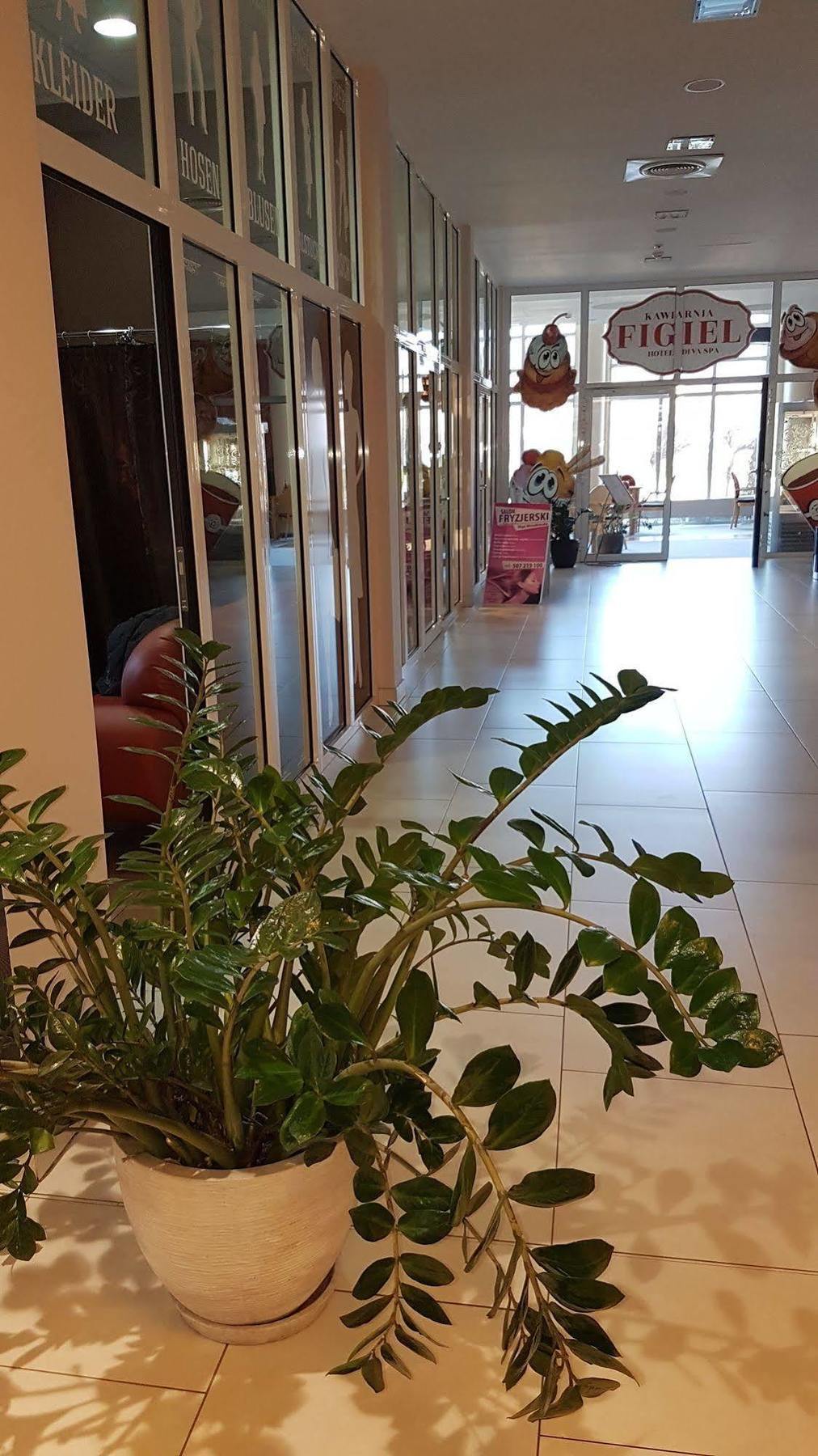 Apartamenty Diva Kołobrzeg Exteriör bild